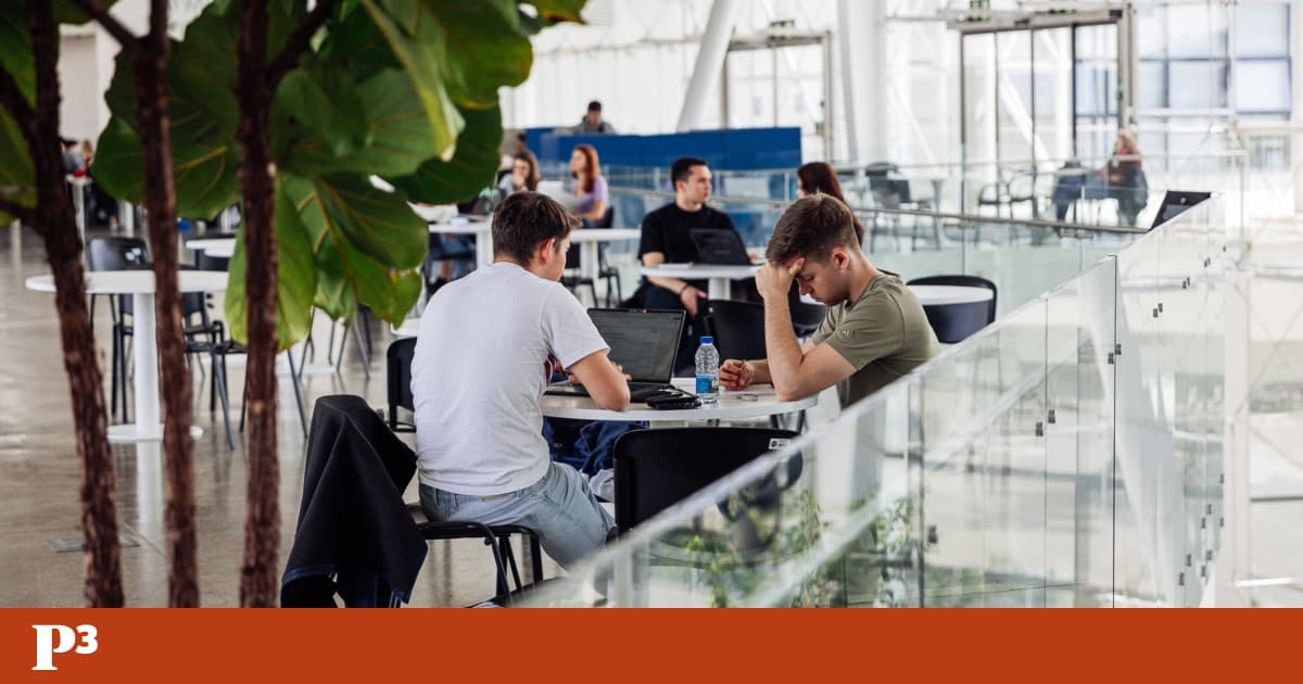 Universidades em crise: quando a máquina substitui o saber