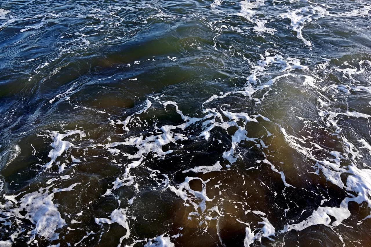 Estado impõe novas restrições à pesca que ameaçam pescadores