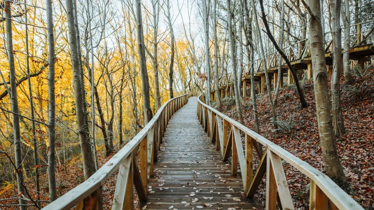 Açores querem turistas a pagar resgates nos trilhos
