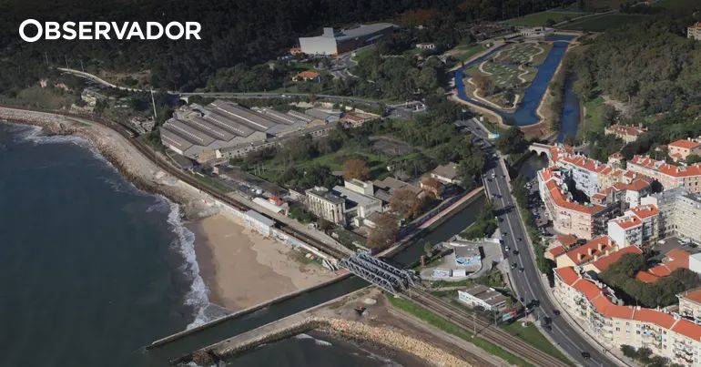 Jamor: árvores abatidas, amianto escondido e uma autarquia que não responde