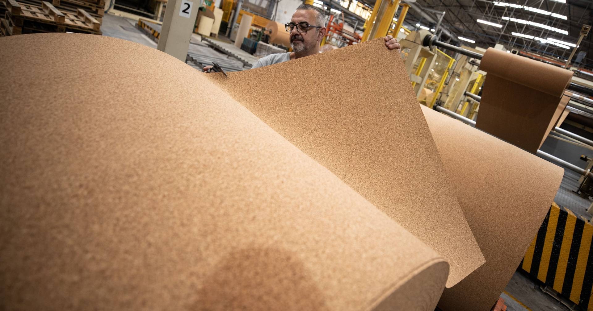 Lucro da Corticeira Amorim cai a pique: 31,7% para o buraco, culpa é do dólar e da reestruturação