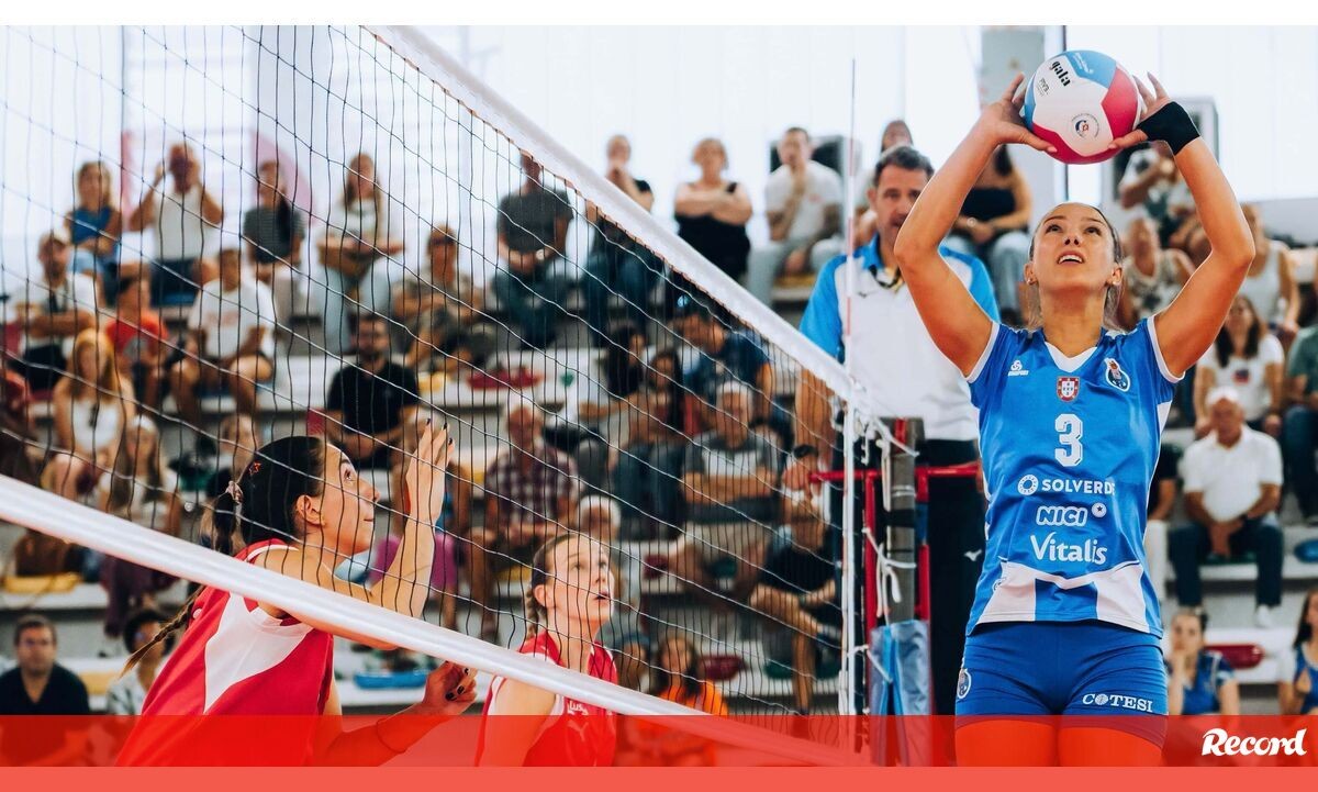 Voleibol feminino: o FC Porto é o alvo a abater e a luta promete ser de cão e gato